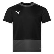 PUMA Trenings T-Skjorte teamGOAL 23 - Sort/Grå Barn