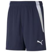 teamLIGA Shorts Jr Navy - Hvit