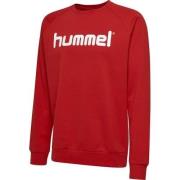 Hummel Go Cotton Logo Genser - Rød Barn