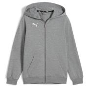 PUMA Hettegenser teamGOAL Casuals Full Zip - Grå/Hvit Barn