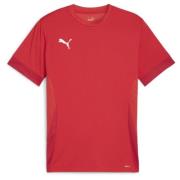 PUMA Trenings T-Skjorte teamGOAL - Rød/Hvit