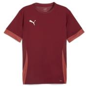 PUMA Trenings T-Skjorte teamGOAL - Burgunder/Hvit