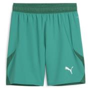 teamFINAL Shorts Sport Green-PUMA White-Power Green