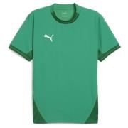 teamFINAL Jersey Sport Green-PUMA White-Power Green