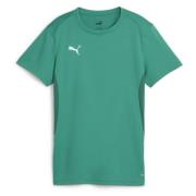 teamGOAL Jersey Wmn Sport Green-PUMA White