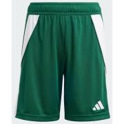 Adidas Tiro 24 Shorts Kids