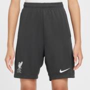 Liverpool Treningsshorts Dri-FIT Academy Pro - Grå/Hvit Barn