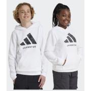 Adidas Juventus Hoodie Kids