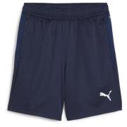 PUMA Treningsshorts teamGOAL - PUMA Navy/Hvit Barn