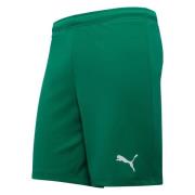 PUMA Treningsshorts teamRISE - Grønn/PUMA White