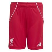 Liverpool Hjemmeshorts 2025/26 Barn