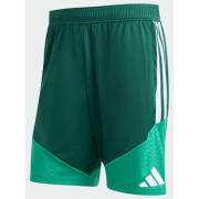 Adidas Algeria 26 Training Shorts