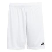 adidas Shorts Entrada 26 - Hvit/Svart Barn