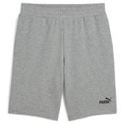 ESS No. 1 Logo Shorts 10" Medium Gray Heather