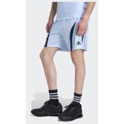 Adidas Originals Teamgeist Adicolor Shorts