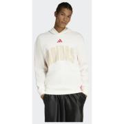 Adidas STADIUM GRAPHIC HOODIE