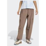 Adidas Terrex Xploric CLIMA365 Cargo Pants