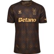 Brøndby IF Tredjedrakt 2025/26