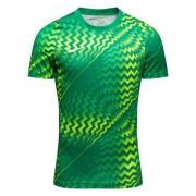 Nike Keeperdrakt Dri-FIT Gardien VI - Grønn/Hvit