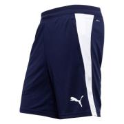 PUMA Treningsshorts teamFINAL 26 - PUMA Navy/PUMA White